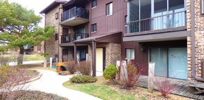63 W 64Th Street Unit #201, Westmont