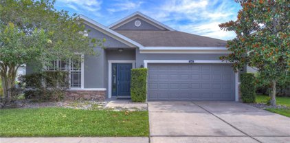 3110 Magnolia Meadows Drive, Plant City