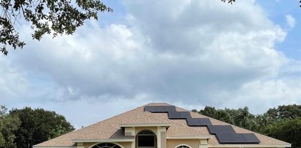 1332 Valley Pine Circle, Apopka