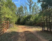 TBD Shiloh Rd, White Oak image