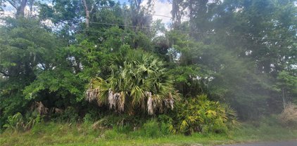 242 Toms Road, Debary