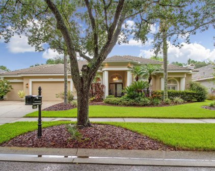 9128 Highland Ridge Way, Tampa