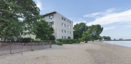 1050 W Columbia Avenue Unit #1D, Chicago