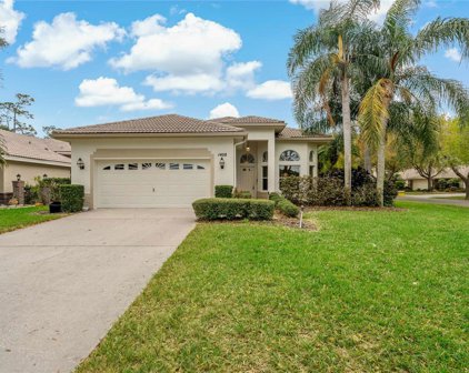 1408 Woodstream Drive, Oldsmar