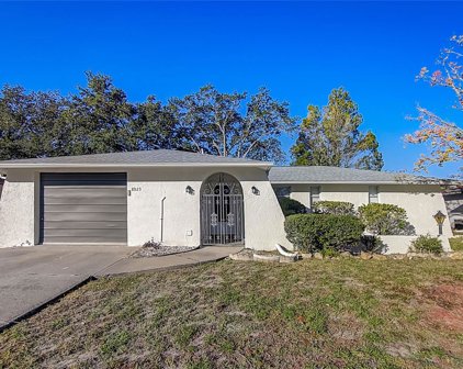 8923 Candlewick Lane, Port Richey