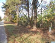 Tract # 6 B County Road 142, Sand Rock image