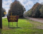 00 Bone Creek Road, Holt image