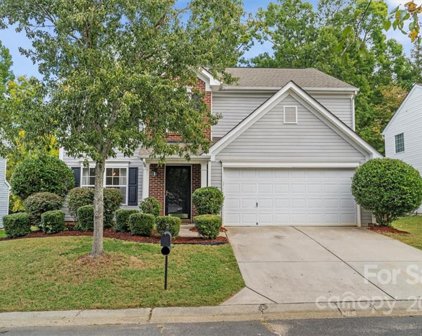 308 Tradition  Way, Rock Hill