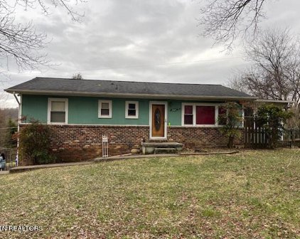 3925 Bud McMillan Rd, Knoxville