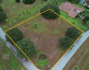 Royal Palm Drive, Groveland image
