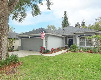 236 Hanging Moss Drive, Oviedo