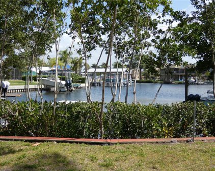 117 Carlyle Drive, Palm Harbor