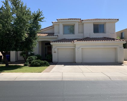 4513 S Wildflower Place, Chandler