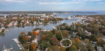 Moss Haven Ct, Annapolis