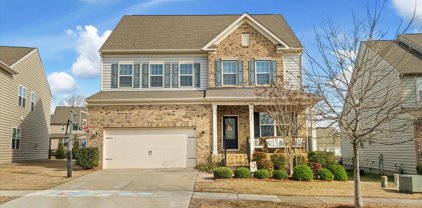 1447 Tomkins Knob  Drive, Fort Mill