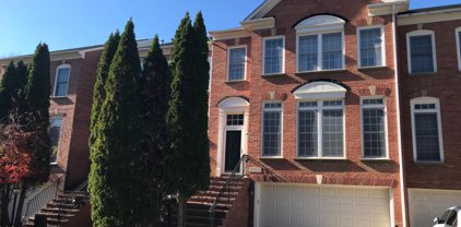 13303 Sunny Brooke Pl, Potomac