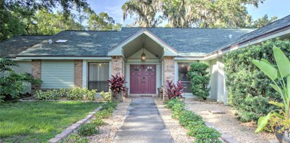 1734 Pine Hill Ct, Safety Harbor