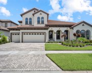 13048 Paddock Woods Place, Riverview image
