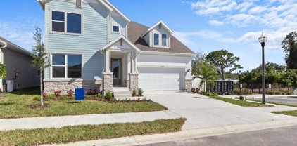 1451 Gopher Loop, Tarpon Springs