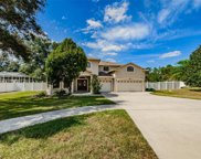 437 Romine Court, Spring Hill image