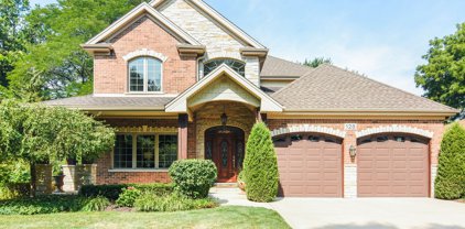 128 S Chestnut Avenue, Arlington Heights