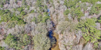 33114 Alton Wright Drive, Magnolia