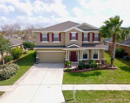 10648 Burning Bush Terrace, Land O' Lakes