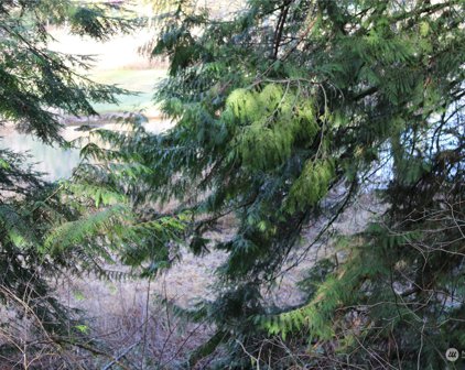 0 Lot 13 Lakeside Drive, Sedro Woolley
