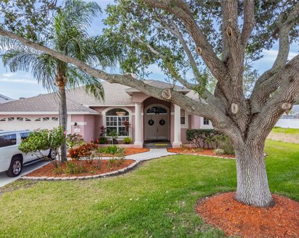 3176 Shoreline Drive, Clearwater