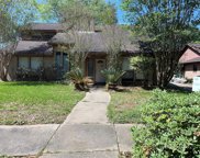 9110 Chesney Downs Drive, Houston image