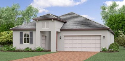 10722 Banyan Breeze Boulevard, Land O' Lakes