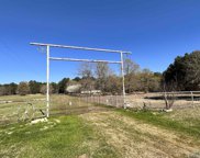 20315 Us Hwy 271, Winona image