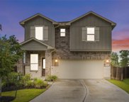 18806 Mont Blanc Way, New Caney image