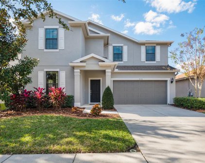 3136 Winglewood Circle, Lutz