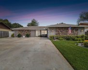 4118 Hollowtrail Drive, Tampa image