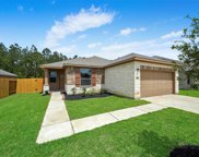 25469 Honus Wagner Way, Splendora image