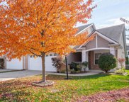 12171 Black Hills Drive, Fishers image