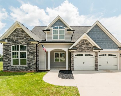 1098 Madison Mountain Lane, Forest