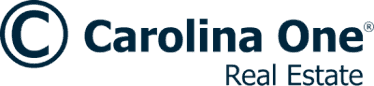 Carolina One Logo