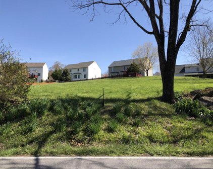 Roselawn  Rd, Roanoke
