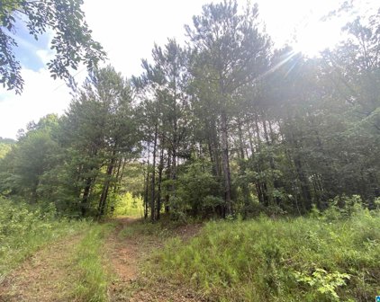 Bull Hollow Road Unit 60 Acres, Gallant