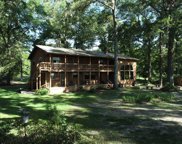240 Nicolas Drive, Hemphill image