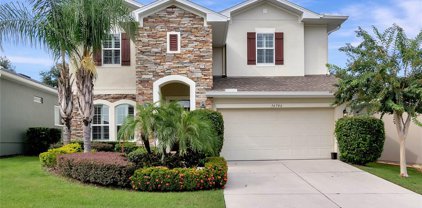 16746 Abbey Hill Court, Clermont
