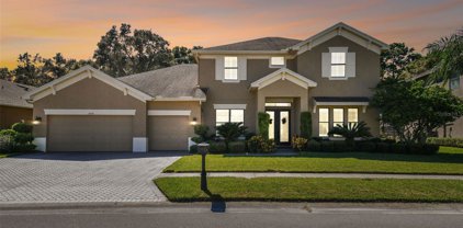 12420 Eagles Entry Drive, Odessa