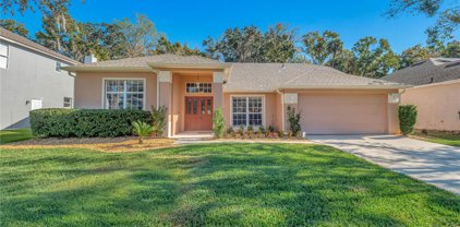 358 Twelve Oaks Drive, Winter Springs