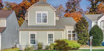 12380 Brown Fox Way, Reston