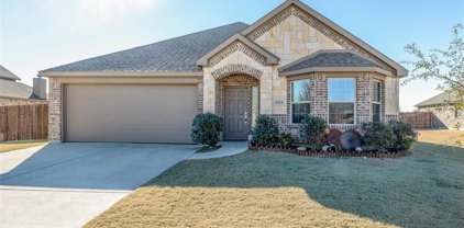 2214 Louis Trail, Weatherford