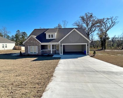 227 Buck Run Drive, Leesburg