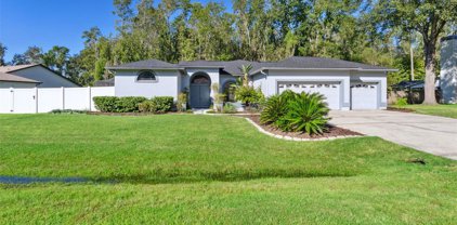 3711 Redwood Drive, Land O' Lakes
