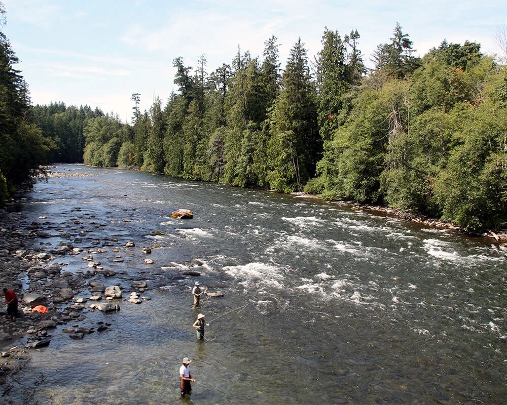 Campbell River Real Estate